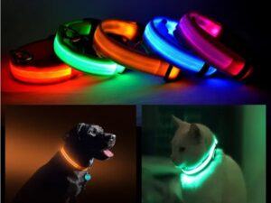 LED PET Safety Halo Style Collar
