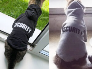Fleece Cloth With Security Pet Sweater