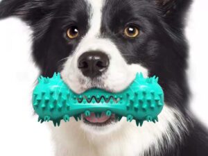 Pet Dog Cleaning Chew Toys For Aggressive Dogs Rubber Molar Stick Dog Oral Teeth