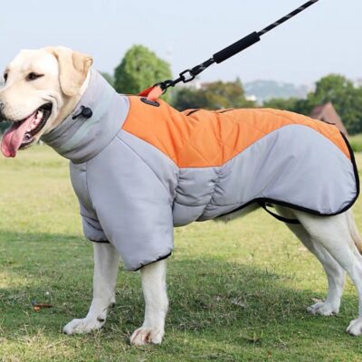 Dog's Winter Jacket: Waterproof, Warm, and Thickened Coat for Large Breed Pets