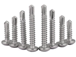 Stainless Steel Cross Recess Coiled Hair Drill Tail Screws